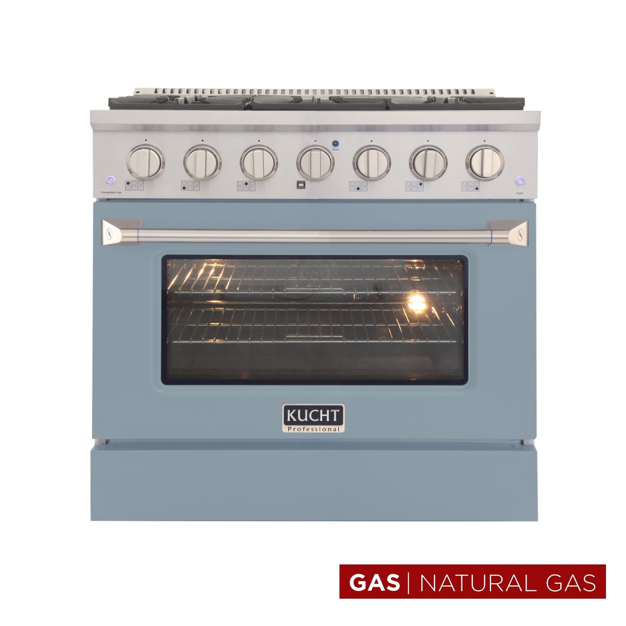 30 in. 4.2 cu. ft. Natural Gas Range with Convection Oven in Light Blue